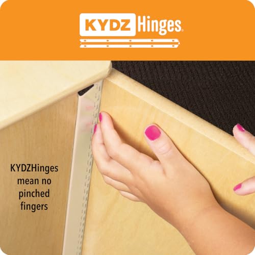 Locking Adjustable Storage Cabinet