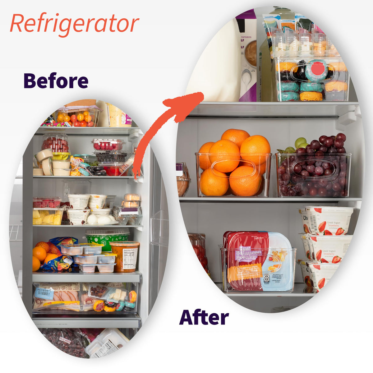 Divided Refrigerator Storage Bins